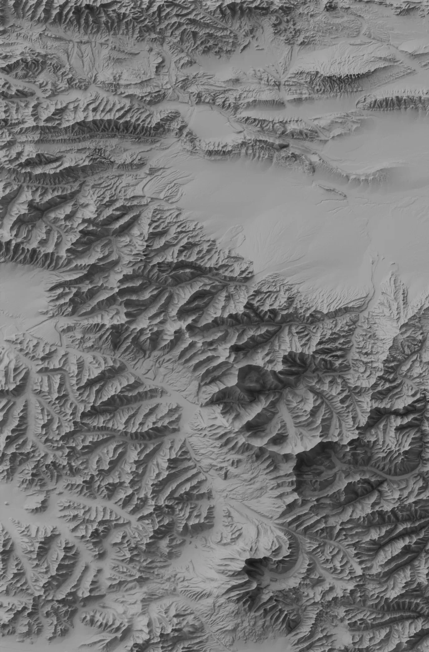 Terrain Labs